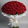 Букет 101 Красная роза Блэк Мэджик в Красносельском