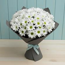 Букет цветов из:  Хризантемы в Красносельском