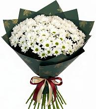Букет цветов из:  Хризантемы в Красносельском