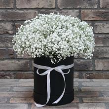 Цветочная композиция из Гипсофила в шляпной коробке в Красносельском