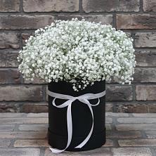Цветочная композиция из Гипсофила в шляпной коробке в Красносельском