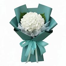 Букет цветов из:  Гортензия в Красносельском